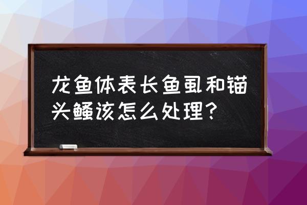 锚头蚤用什么药快速消灭 龙鱼体表长鱼虱和锚头鳋该怎么处理？