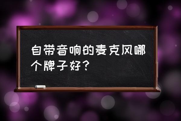 卡通音响好不好 自带音响的麦克风哪个牌子好？