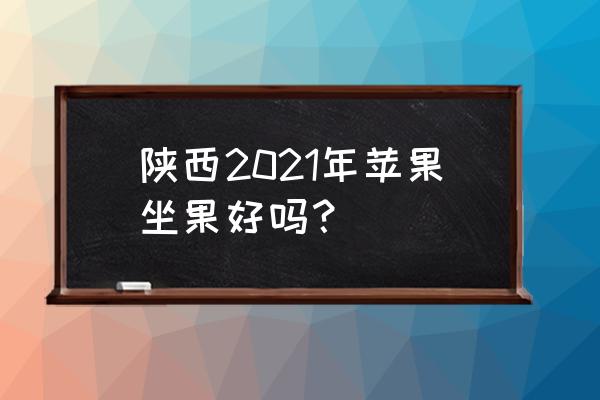 延安苹果今日价格表 陕西2021年苹果坐果好吗？