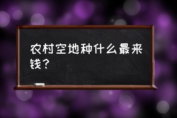 韶关南岭森林公园的红叶红了吗 农村空地种什么最来钱？