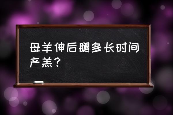 养羊怀孕最佳时间 母羊伸后腿多长时间产羔？