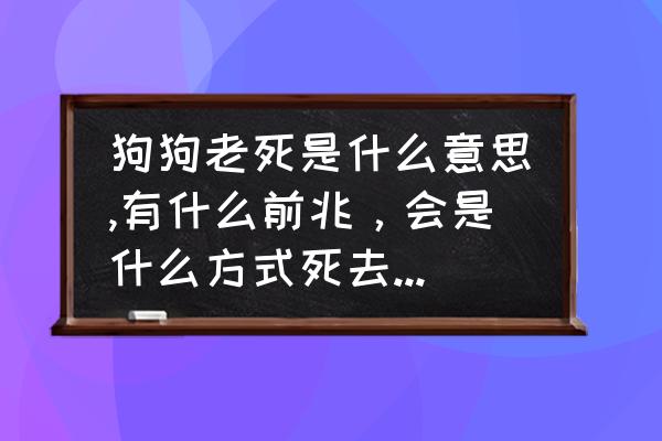 狗怎么知道自己要走了 狗狗老死是什么意思,有什么前兆，会是什么方式死去?请大家告诉我，谢谢？