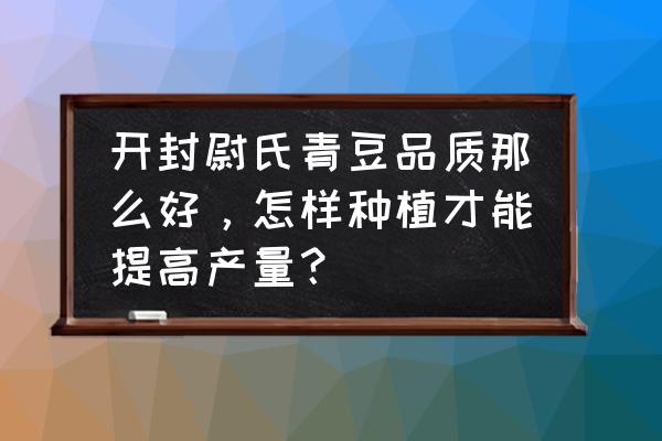 怎样制作豆腐干产量高 开封尉氏青豆品质那么好，怎样种植才能提高产量？