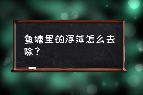 鱼塘里的浮萍怎么处理 鱼塘里的浮萍怎么去除？