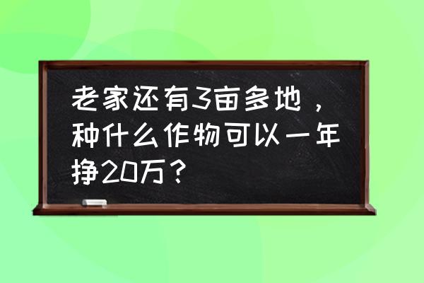 牛蛙养殖一亩有多少斤 老家还有3亩多地，种什么作物可以一年挣20万？