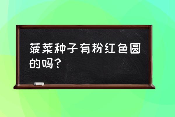 清明草的种子是怎样的 菠菜种子有粉红色圆的吗？