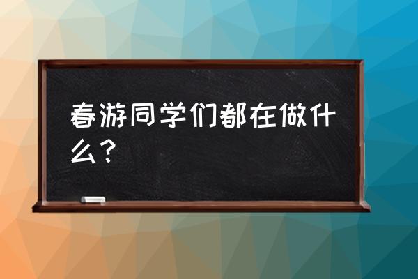 秋游户外可以玩什么 春游同学们都在做什么？