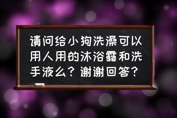 狗狗用什么洗澡最好 请问给小狗洗澡可以用人用的沐浴露和洗手液么？谢谢回答？