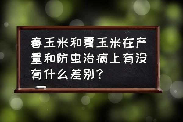 冬玉米的种植方法 春玉米和夏玉米在产量和防虫治病上有没有什么差别？