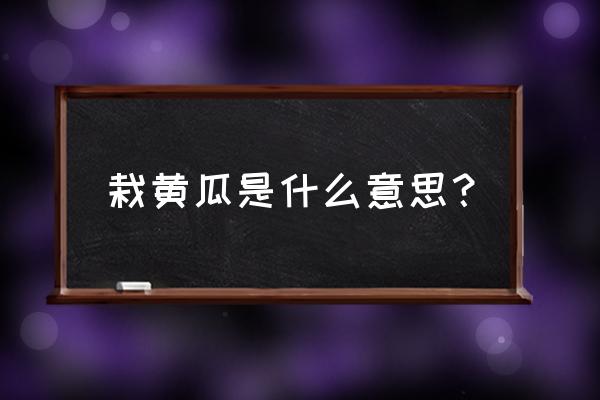 黄瓜苗怎么移栽 栽黄瓜是什么意思？