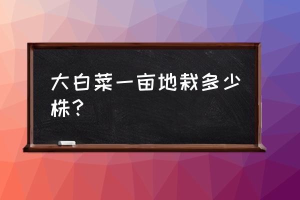 白菜大面积的种植方法 大白菜一亩地栽多少株？