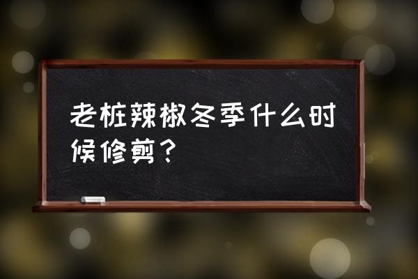 辣椒剪枝示意图 老桩辣椒冬季什么时候修剪？