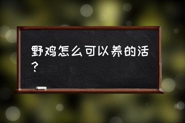 野山鸡怎么养 野鸡怎么可以养的活？