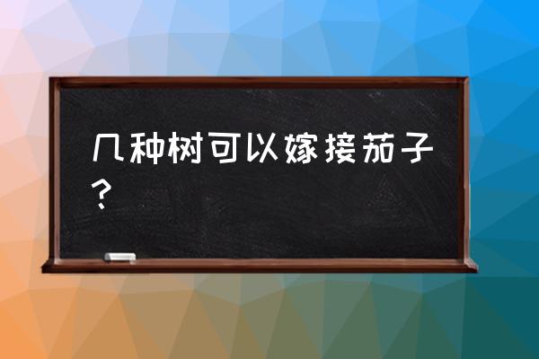 带藤茄子画法简笔画 几种树可以嫁接茄子？