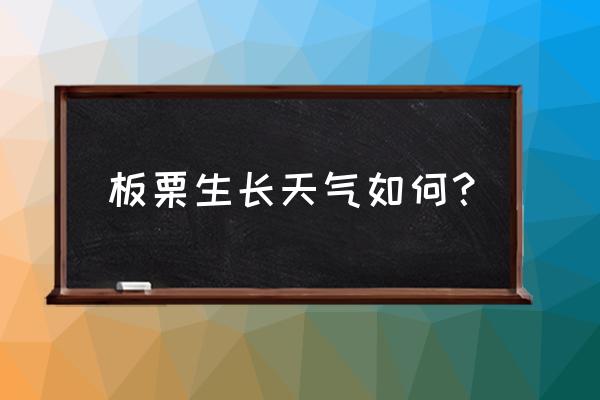 元谋适合过冬养老吗 板栗生长天气如何？