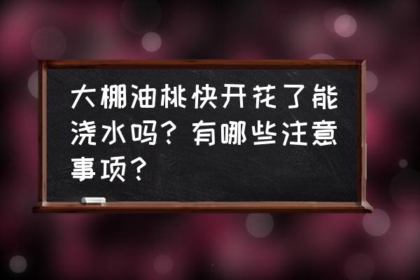 春天露地油桃什么时候施肥 大棚油桃快开花了能浇水吗？有哪些注意事项？