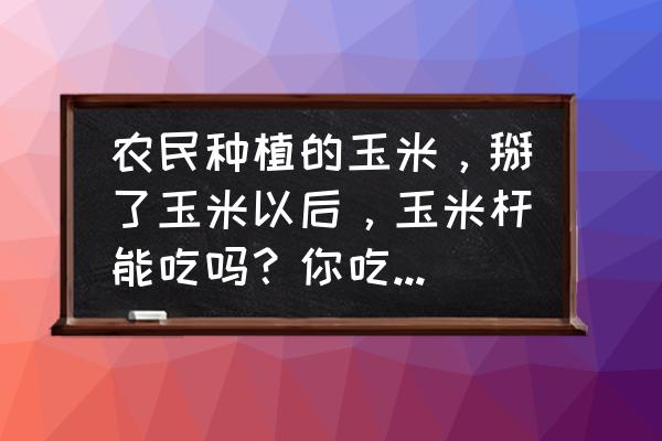 玉米怎么砍最好方法 农民种植的玉米，掰了玉米以后，玉米杆能吃吗？你吃过没有？