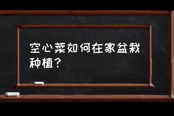 空心菜籽在盆里怎么种 空心菜如何在家盆栽种植？