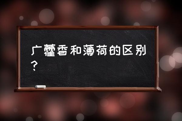 广藿香就是藿香吗 广藿香和薄荷的区别？