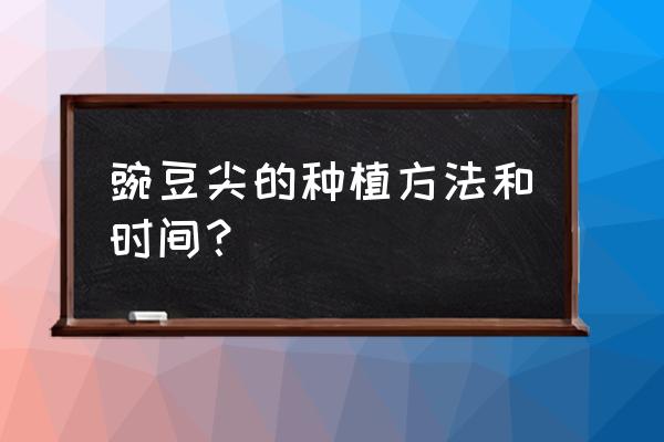 豌豆苗怎么种才能又肥又嫩 豌豆尖的种植方法和时间？