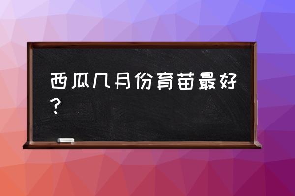 育苗盘育西瓜苗方法 西瓜几月份育苗最好？