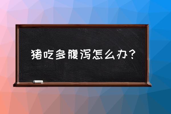 猪出现腹泻拉稀的情况怎么办 猪吃多腹泻怎么办？