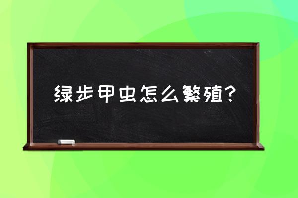 用粘土做蜗牛的教程 绿步甲虫怎么繁殖？