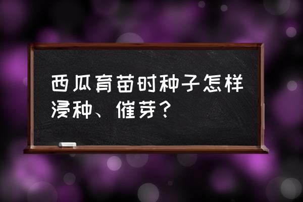 西瓜怎么催芽最快最有效 西瓜育苗时种子怎样浸种、催芽？