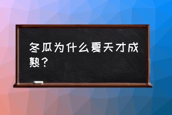 冬瓜不能过冬有啥含义 冬瓜为什么夏天才成熟？