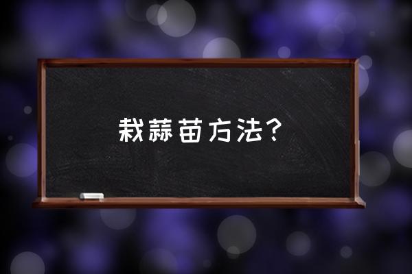 吃不完的蒜苗怎样在家栽种 栽蒜苗方法？