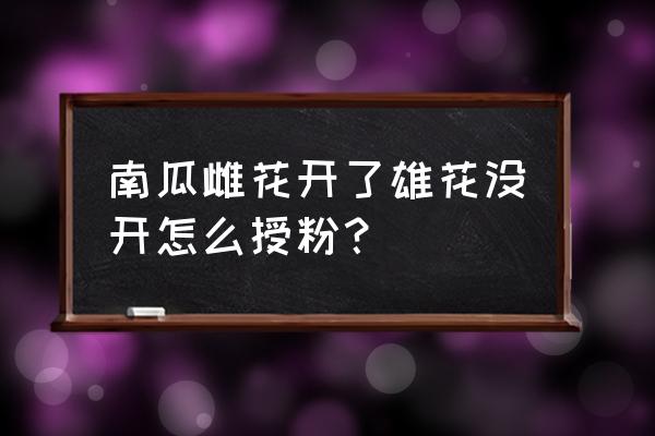 南瓜怎样授粉南瓜打顶最佳时间 南瓜雌花开了雄花没开怎么授粉？