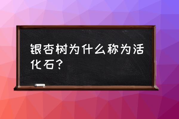 银杏树为什么可以活千年 银杏树为什么称为活化石？