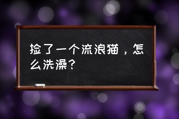 流浪猫刚捡回来怎么处理 捡了一个流浪猫，怎么洗澡？