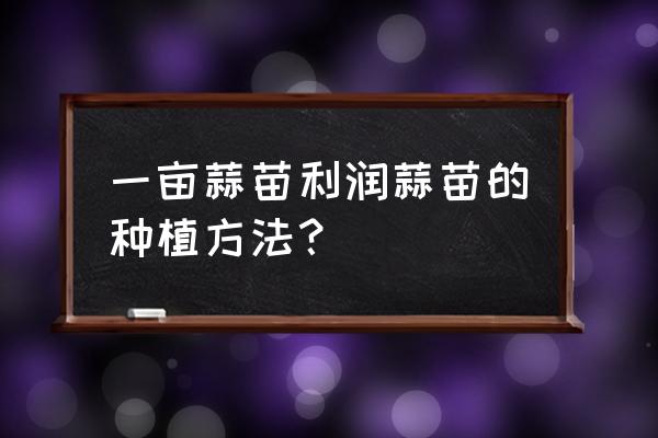 先进蒜黄大棚图 一亩蒜苗利润蒜苗的种植方法？