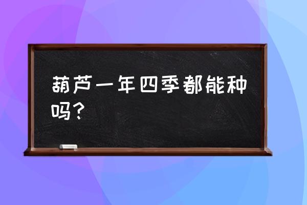 露地西葫芦最佳种植时间 葫芦一年四季都能种吗？