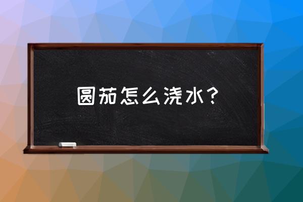 大棚圆茄从小到大的管理技术 圆茄怎么浇水？