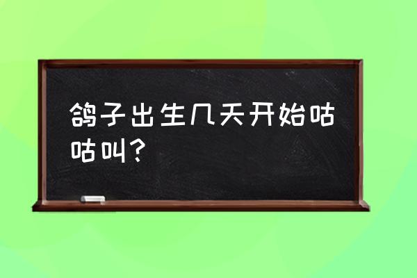 十天新生儿肚子咕咕叫怎么回事 鸽子出生几天开始咕咕叫？