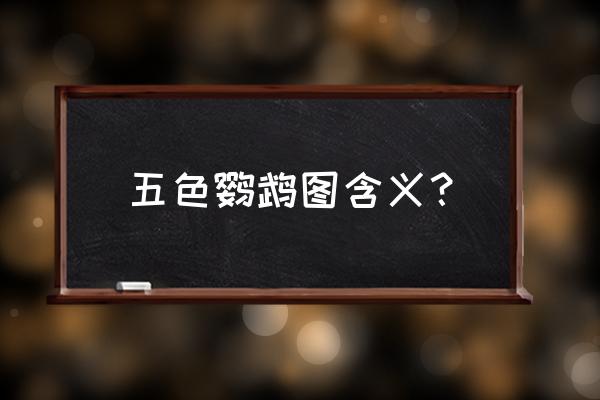 鹦鹉怎么画好看又简单 五色鹦鹉图含义？