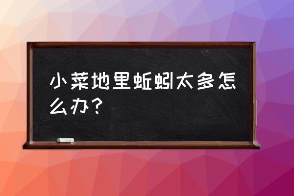 菜地有鼻涕虫用什么方法去除 小菜地里蚯蚓太多怎么办？