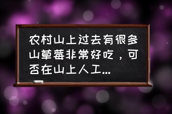 创造与魔法草莓田位置 农村山上过去有很多山草莓非常好吃，可否在山上人工种植山草莓，有哪些种植技术要点？