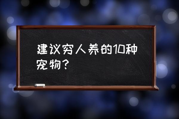 适合穷人养的10个小型养殖 建议穷人养的10种宠物？