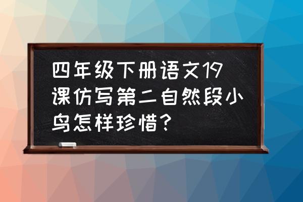 消灭松毛虫的最好方法 四年级下册语文19课仿写第二自然段小鸟怎样珍惜？