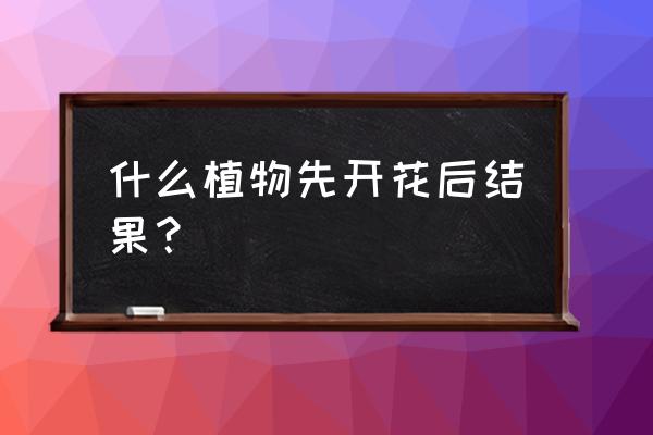 樱桃是先开花后长叶的植物吗 什么植物先开花后结果？