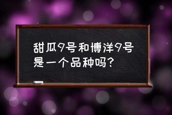 2019甜瓜的新品种 甜瓜9号和博洋9号是一个品种吗？