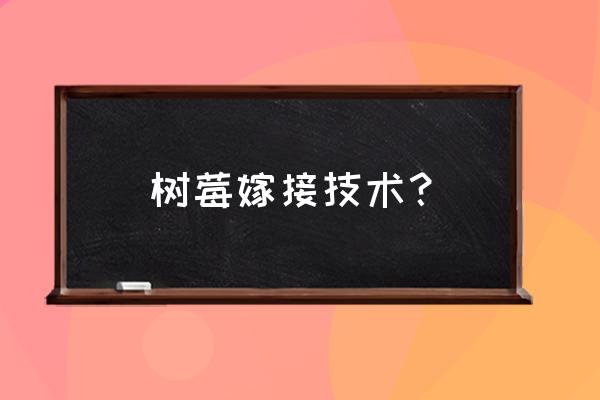 树莓种子怎么来的 树莓嫁接技术？