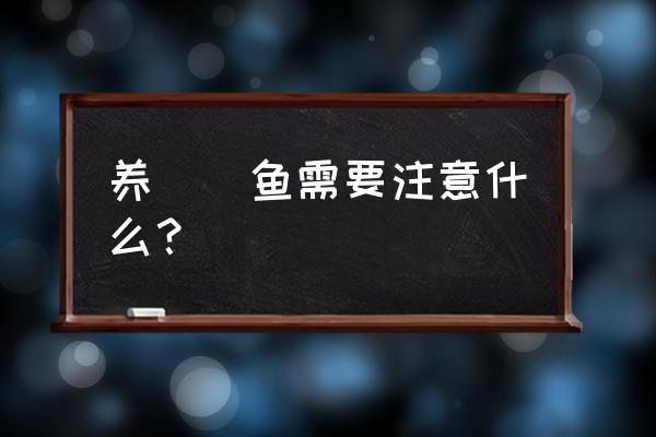 鳑鲏鱼怎么养长得比较快 养鳑鲏鱼需要注意什么？