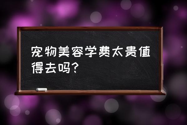 宠物美容为什么要去学校 宠物美容学费太贵值得去吗？