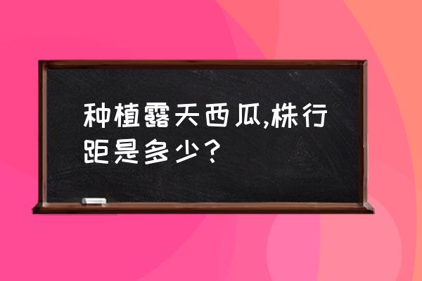 吊蔓西瓜定植技术讲究哪些 种植露天西瓜,株行距是多少？