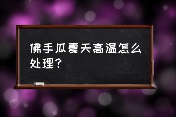 佛手瓜不能和什么一起吃 佛手瓜夏天高温怎么处理？