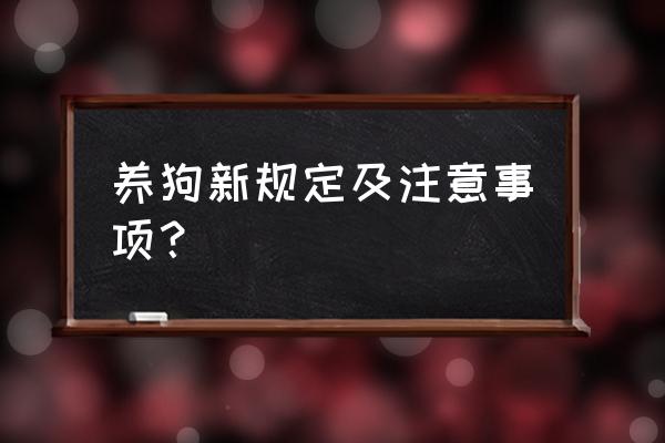 养狗需注意什么 养狗新规定及注意事项？